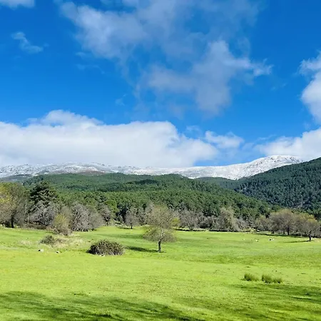 Revolcona La Adrada
