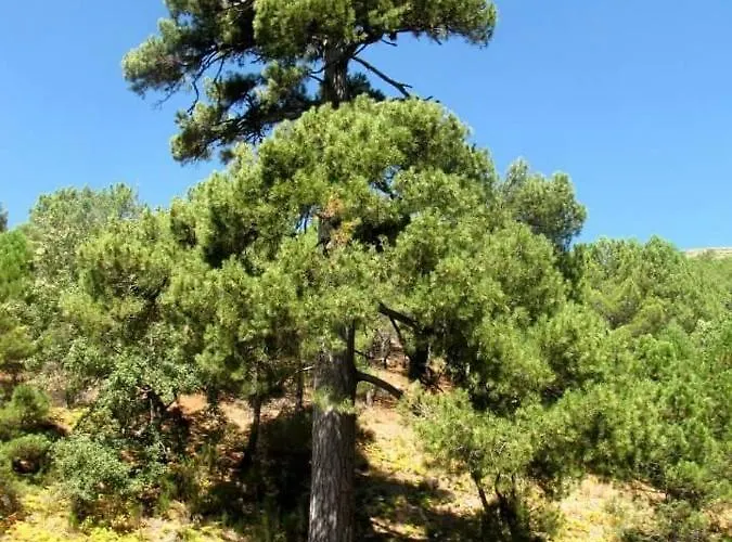 Casa vacanze Revolcona